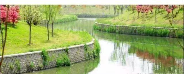 挡土墙，先把这些学会