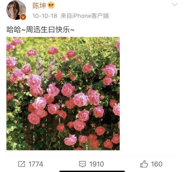 陈坤爱了周迅20年，为何还是没娶她？