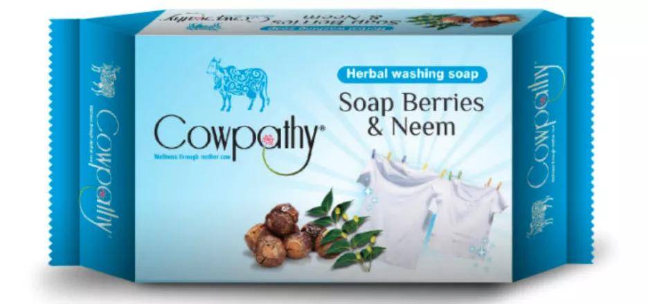 印度官方发明的牛粪芯片，那味儿实在太冲了