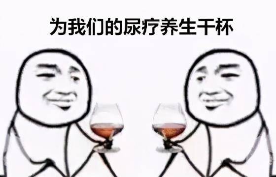 印度官方发明的牛粪芯片，那味儿实在太冲了