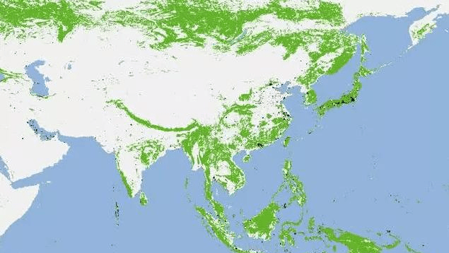 美国发布卫星地图,澳洲森林大量减少,中国却在上演奇迹