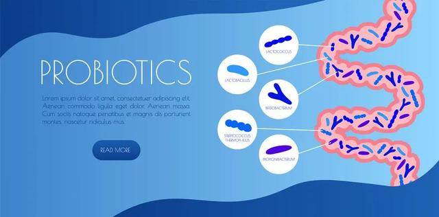 注册|全球益生菌临床试验分析：哪种菌最火？哪种病最热？
