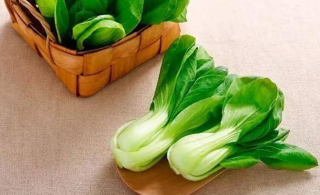 什么时间种油菜最好 271997d8ad1f4dc6a132243bbd3102dc.jpeg