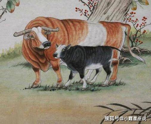 2020年十二生肖事业_2020年吸金纳银的4大生肖,上半年事业亨通,下半年财