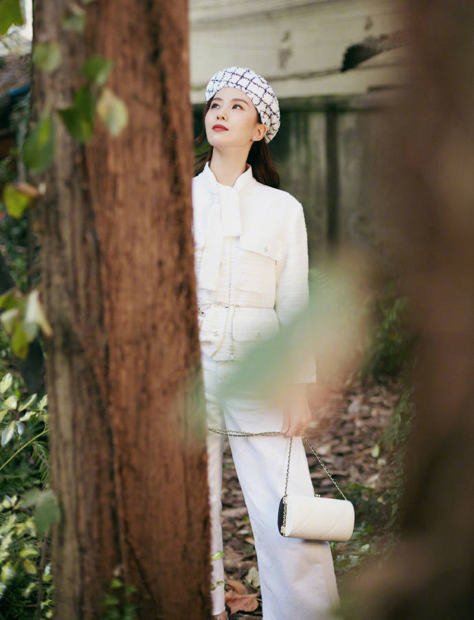 斜纹|刘诗诗 品牌大使造型图