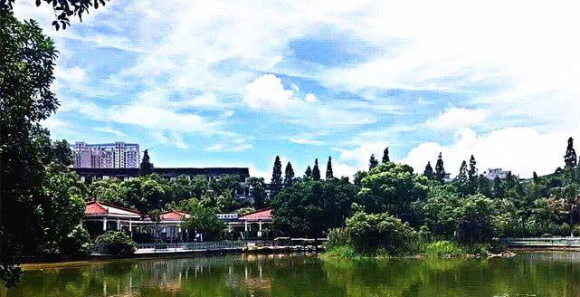 苍南gdp_苍南警花被杀真实照片(2)