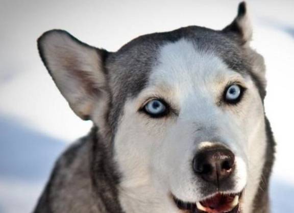 7bae15b24a96416dbe4d4f5c8ce1748c.jpeg