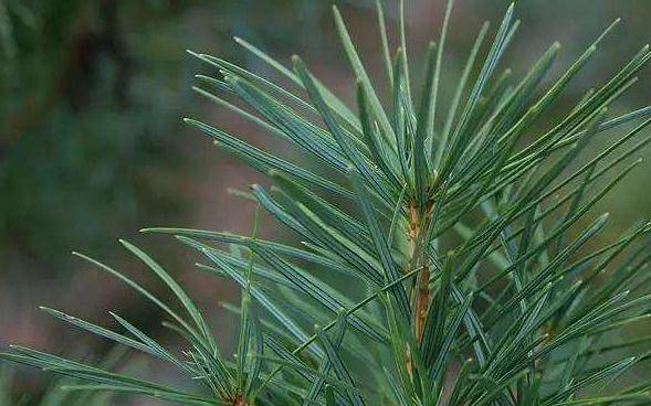 郴州县城经济gdp排名_郴州经济开发区曾文(3)