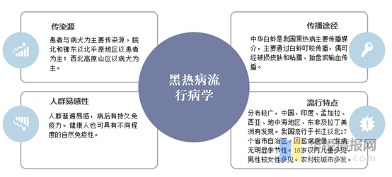 2020年中国皮氏总人口_感动中国2020