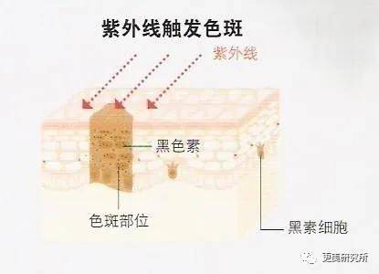 赵薇|艳压热巴，惹赵薇翻白眼，她还要翻几次车？