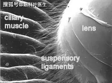 d5206da5e95e4e77a4cd6270f02bbf77.jpeg