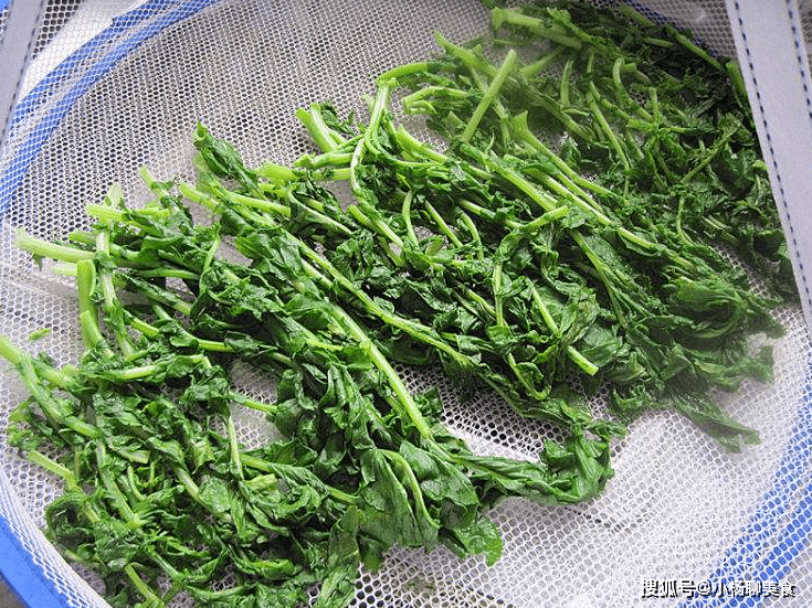 什么菜可以晒着吃 f33d75bb16cb49a29b8877475ea3f2ee.png