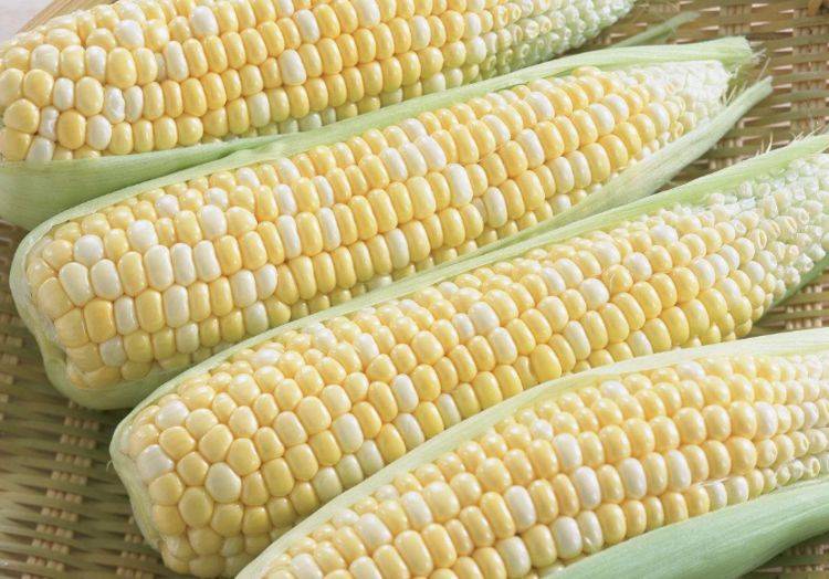 时候|哪种营养更高？经常吃玉米的人，要会选糯玉米和甜玉米