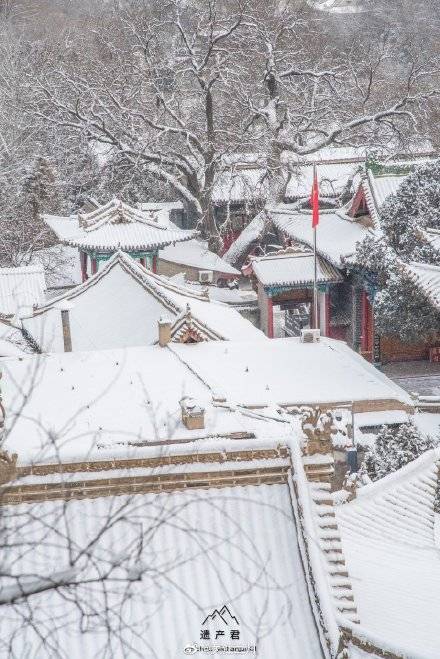 兰州大学初雪雪景#↓↓你的学校今年下雪了吗?