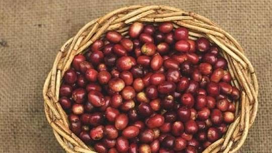 吃什么食物有利于排出体内垃圾 8e2787b08f5e4edda4989c6e1a780c47.jpeg