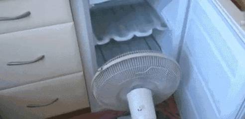 70c8b341c4e54051baf614913c8e29de.jpeg