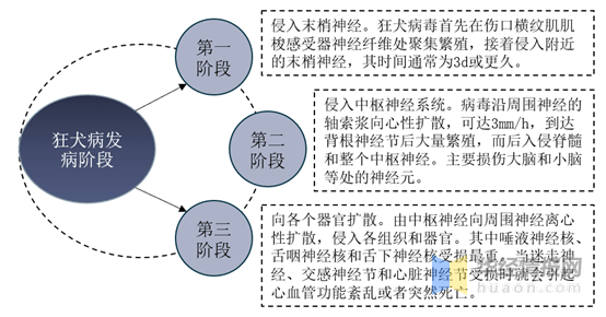 2020死亡人口多少_南宁有多少人口2020年