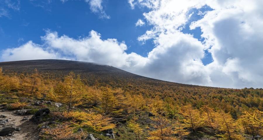 大企业在家电市场上要敢于担当：向行业恶习和乱象亮剑！-家电圈官网