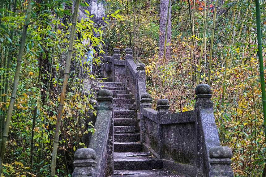 秦始皇|汉朝最传奇人物，曾刺杀秦始皇，被称为神仙国相 ，隐居陕西汉中