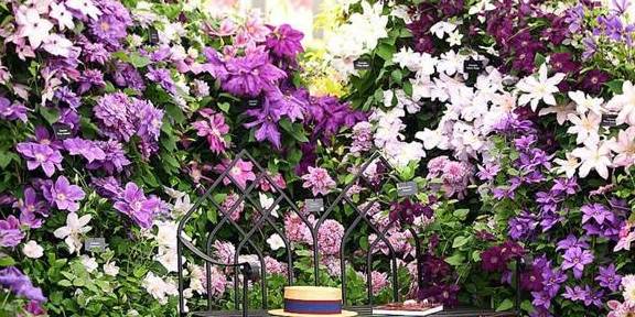 怎么养花才是高手 fd8d8360175447629fa71980a6c26658.jpeg