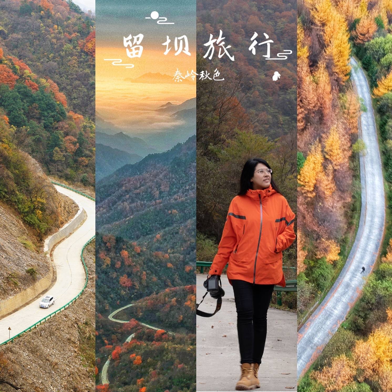 秦岭秘境，红叶盛宴，自驾陕南，寻找中国最美的秋色_留坝