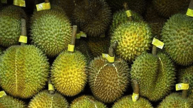 38bb1815d0754df28143da0f323b9ebf.png