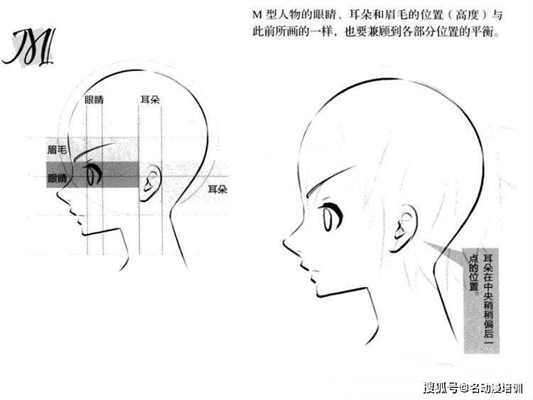 动漫人物侧脸怎么画