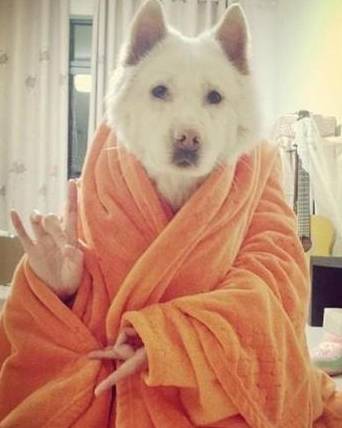 搞笑段子 老婆好吃懒做爱打扮