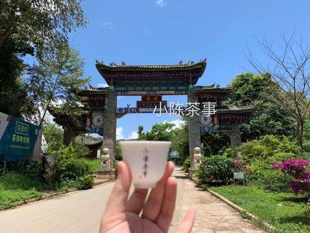 云南茶农人口_云南茶农采茶图