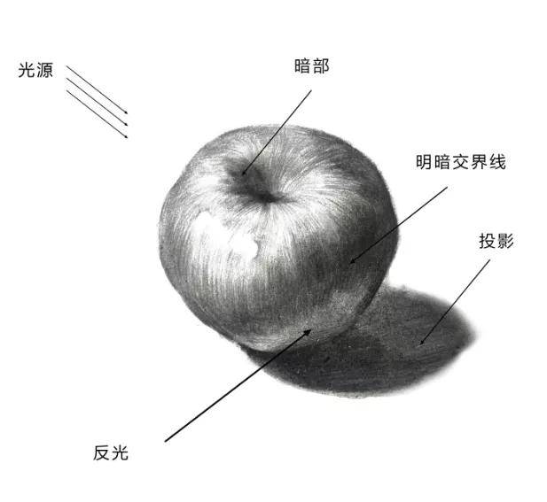 【推荐】苹果素描画法步骤图解详细|苹果素描视频教程