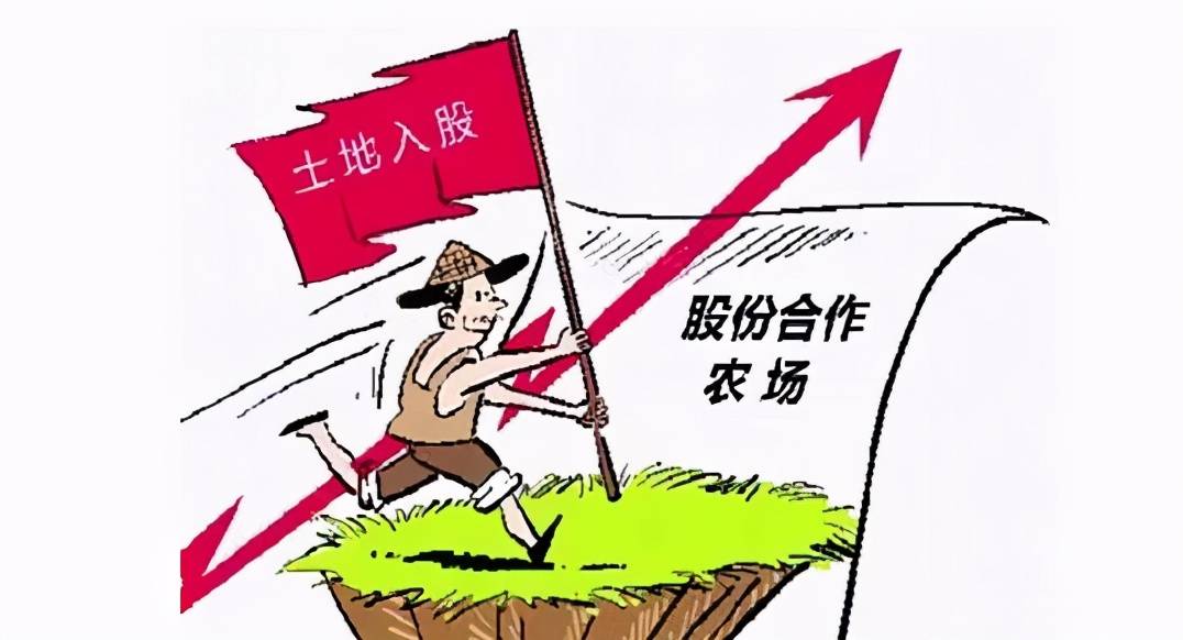 农村GDP指_农村房子图片(2)