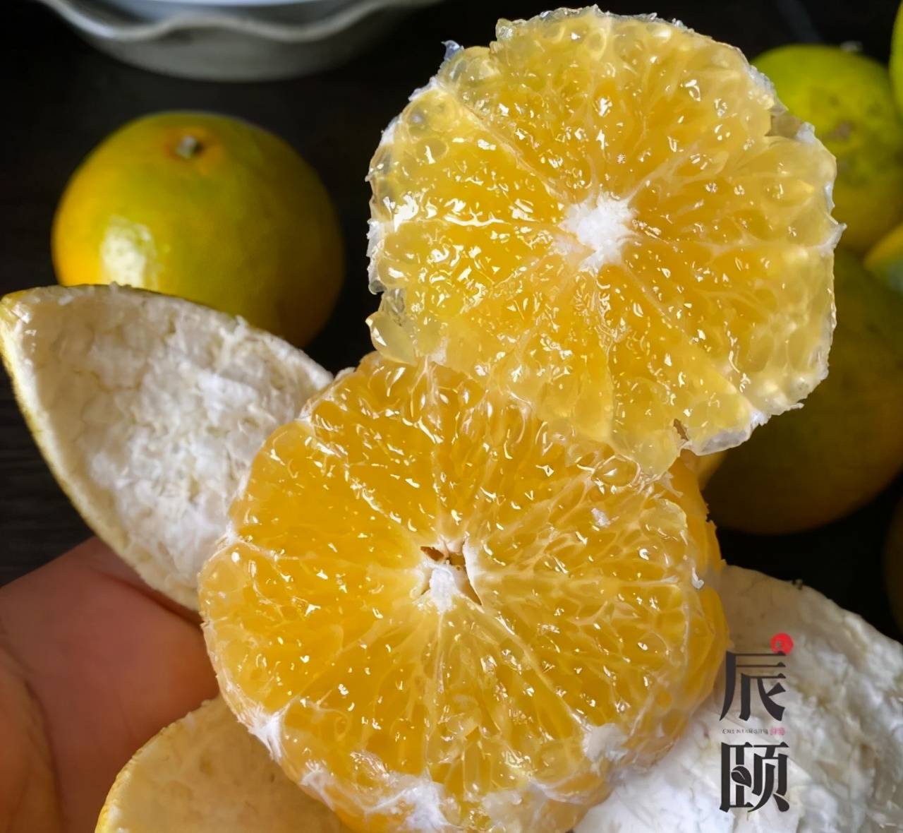 辰颐物语广西皇帝柑香甜果肉脆嫩清甜轻咬飚汁爽口化渣