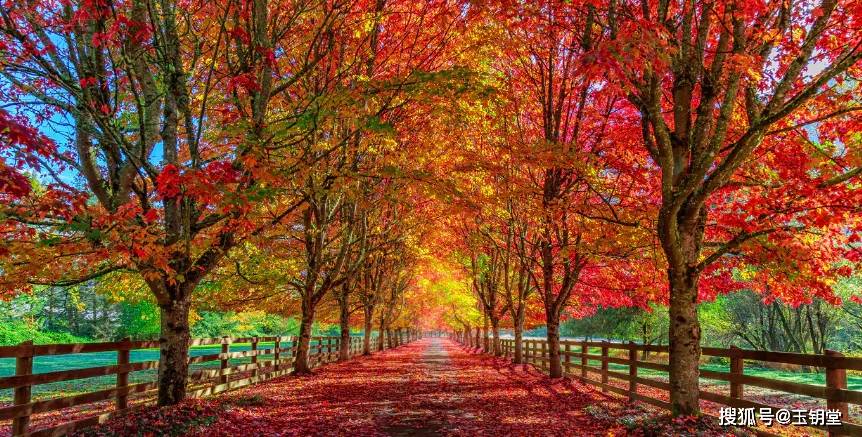 [养生课堂]深秋时节，心脑血管疾病高发，这些人群要注意了！ 