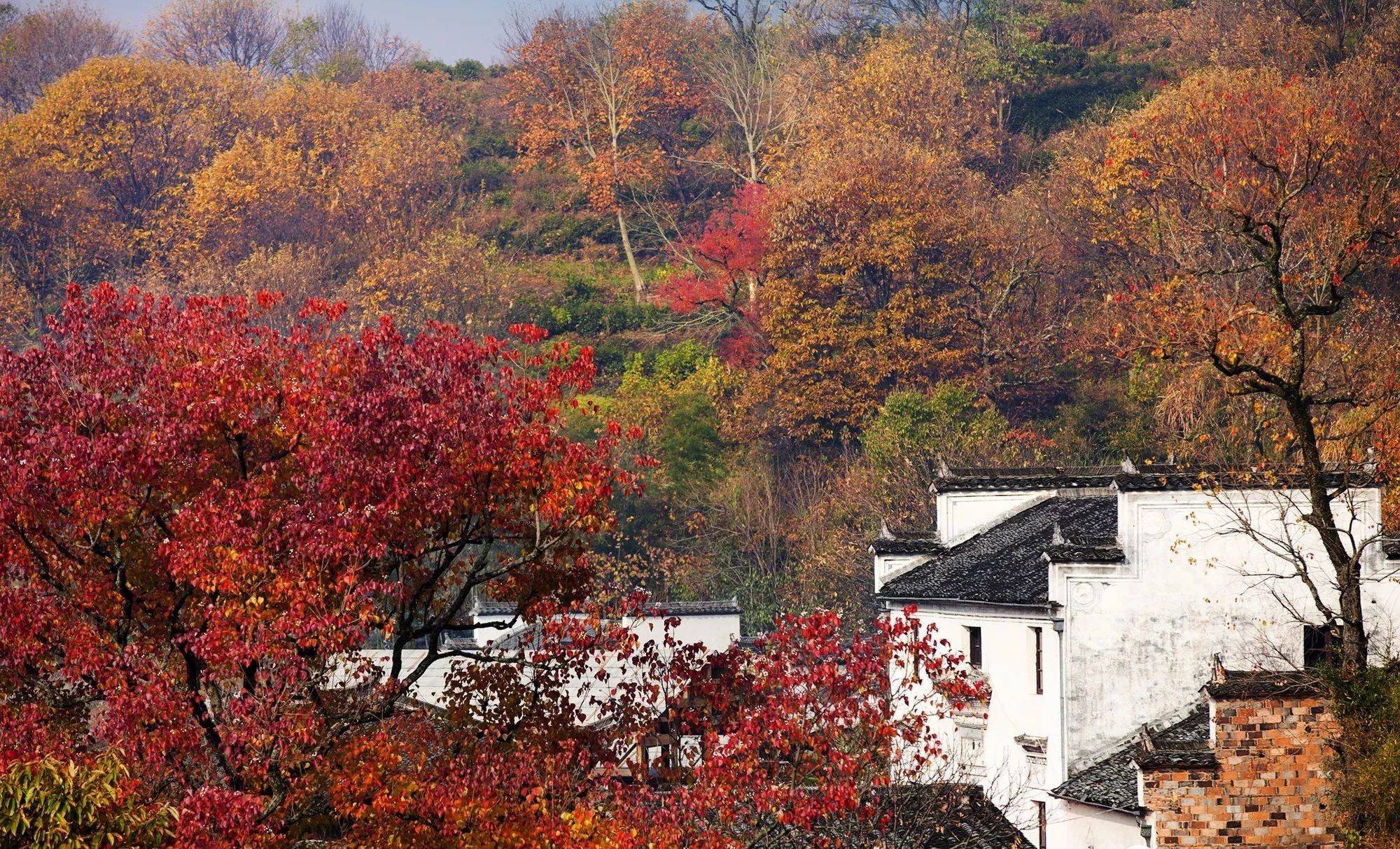 "塔川洞天"等绝妙景观