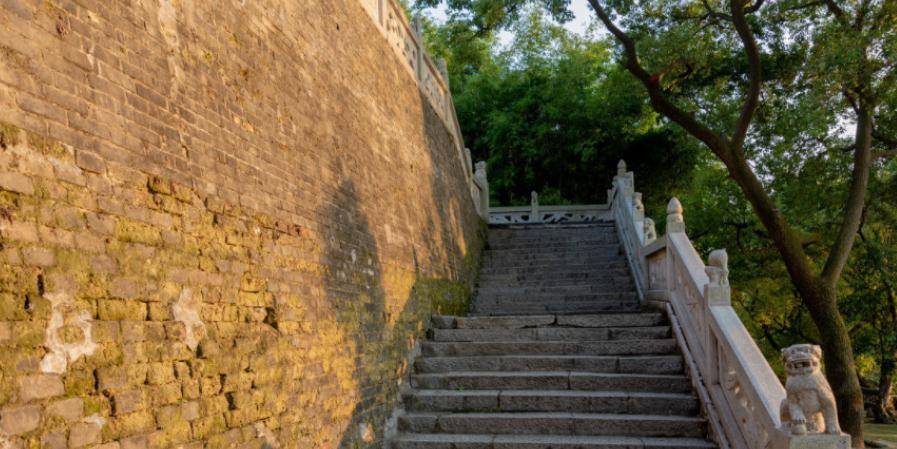 岳阳gdp不真实_岳阳到广州真实车票图