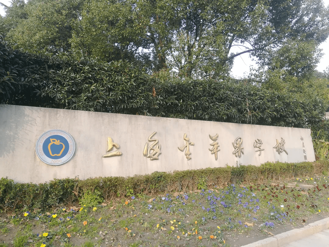 仁恒锦绣VS珊瑚VS金桥世纪大PK,每一个都能“闭眼摇”?_项目