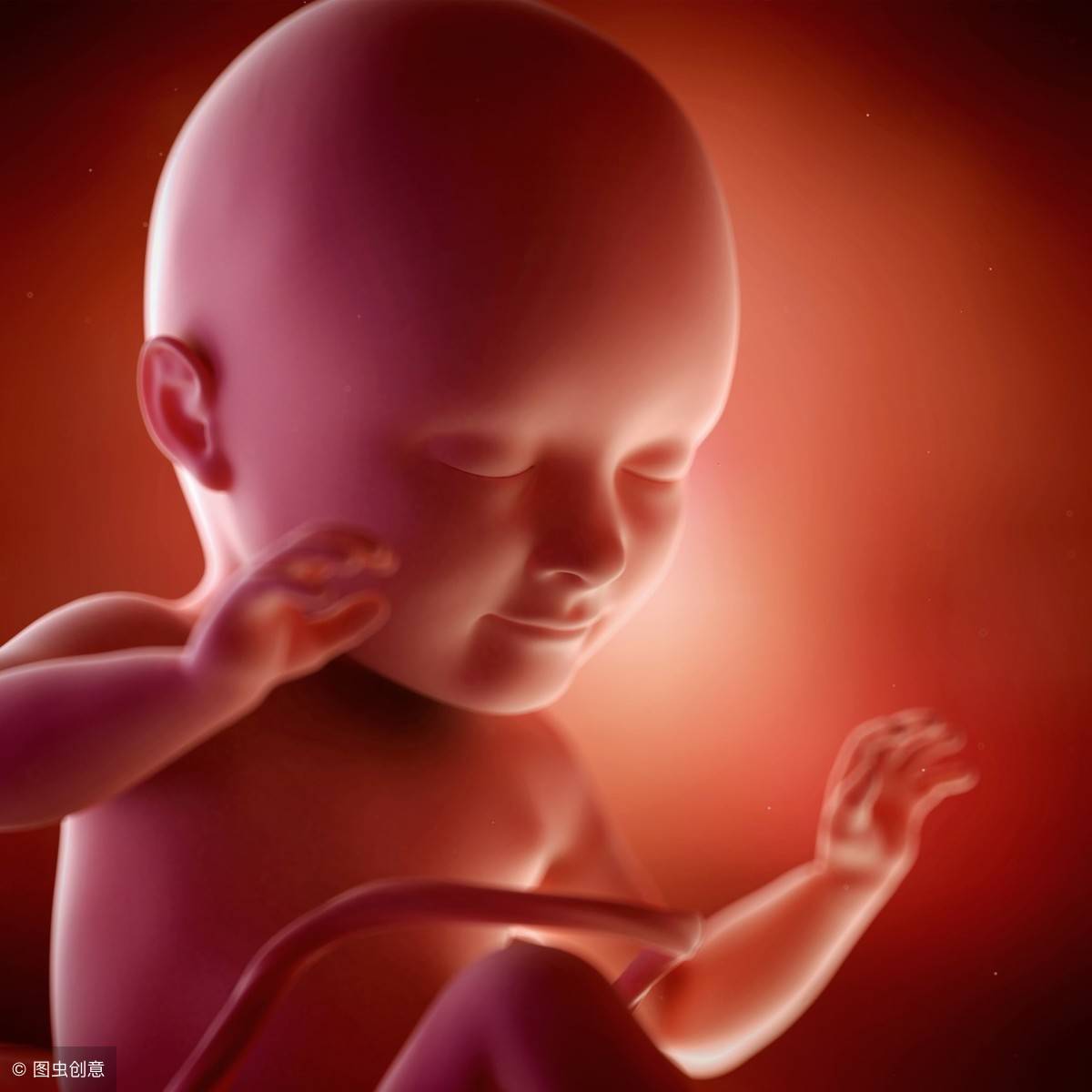 怀孕后多久开始数胎动？什么样的胎动才是正常的？