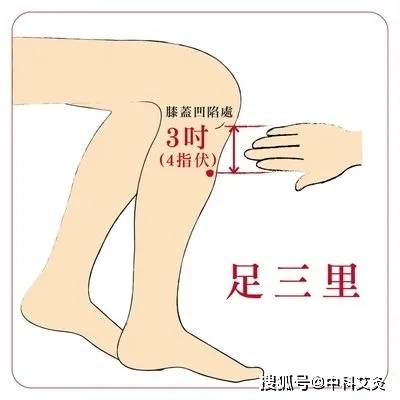 第一个穴位 肚腹三里留"