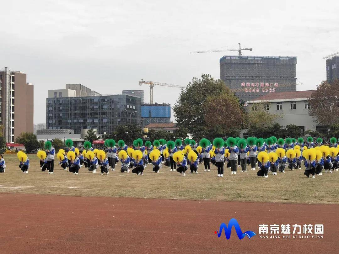 动态丨南京浦口中等专业学校:2020年秋季田径运动会