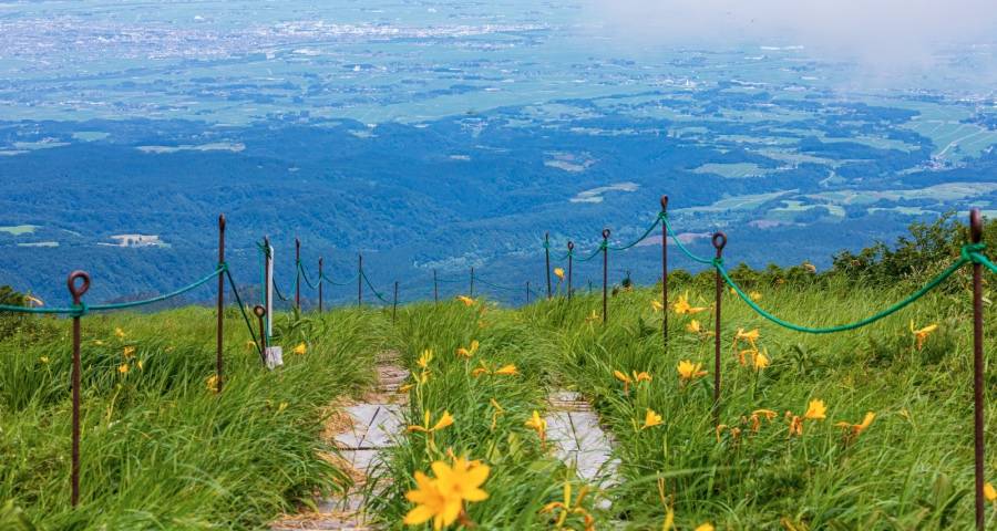 市场乱了企业急了家电业不能烂！-家电圈官网