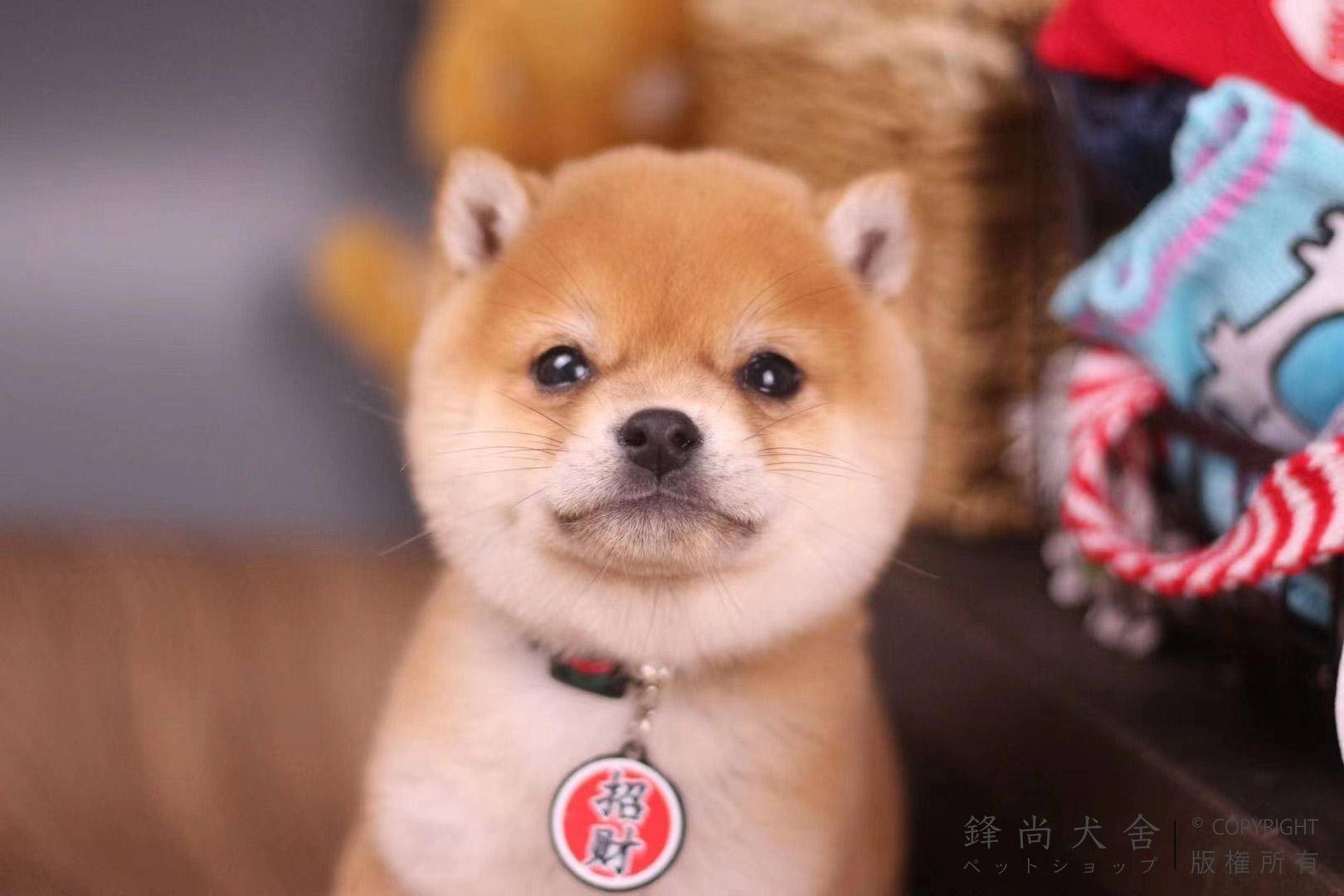 0912b8356e8e447db7bdfbd99f9335cd.jpeg