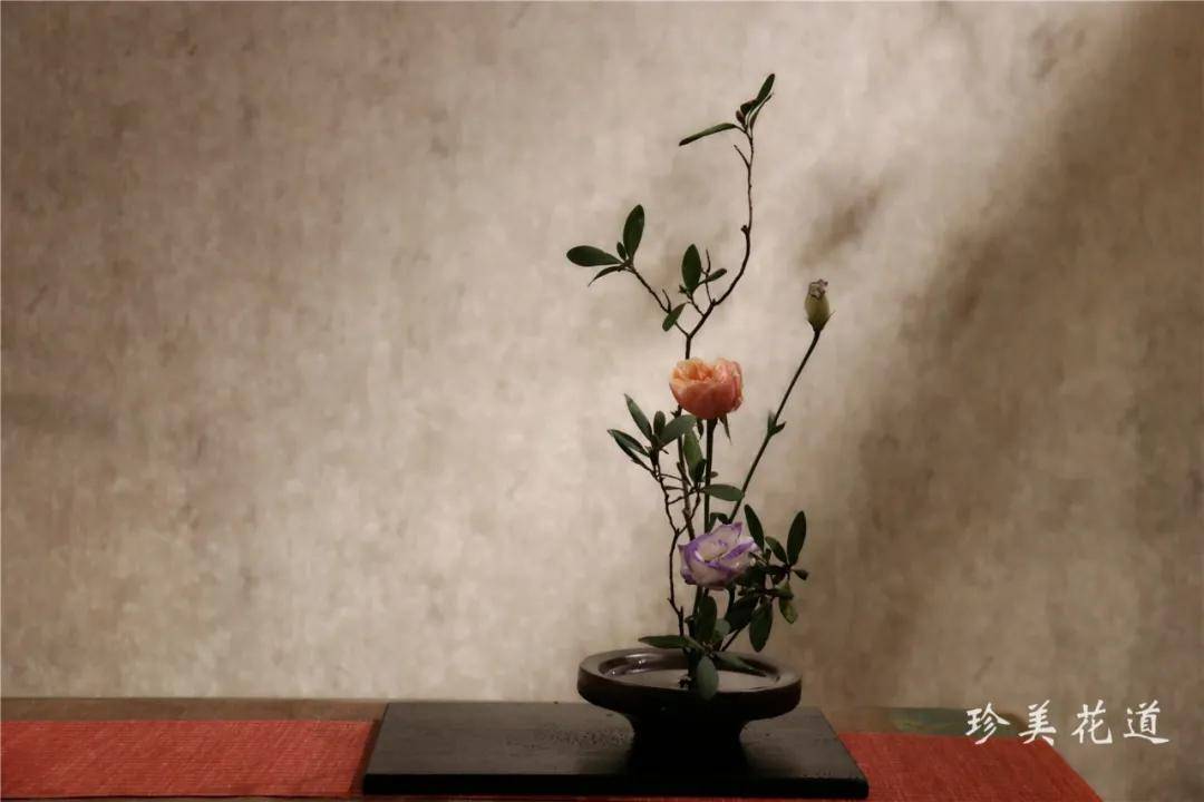 茶道插花,淡雅中的静心 | 珍美花道