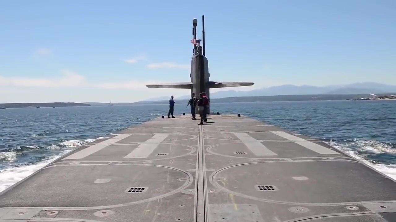 蓝鲸有多少个人才够它的重量 60c45c4975d04ce38388e4f39f0aac43.jpeg