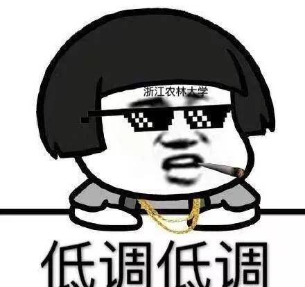 2020年林业院校综合_2020年最新承认联考成绩的综合类大学(三)迪丽热巴都