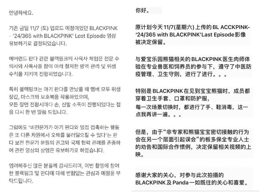 原创blackpink方回应熊猫幼崽事件不仅不道歉还推卸责任