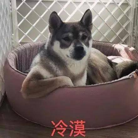 “于无论次”了这么多年，竟然能有被网友排队