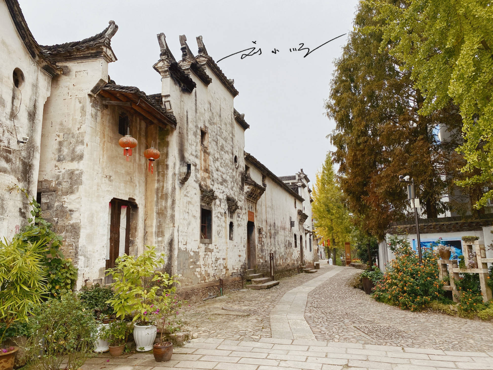 浙江缙云有个低调的千年古村，作为全国重点保护文物，游客还不多_河阳村