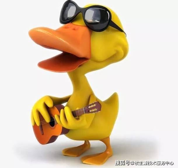 其他季节可以通过保持适宜的通风量和调节鸭舍门窗面积来维持鸭舍适宜