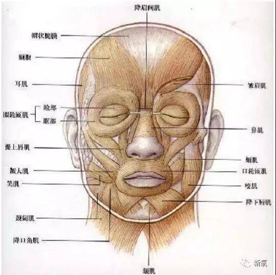 宋茜|苦练十年都翻不了身，什么样的表情管理方法才能拯救宋茜？