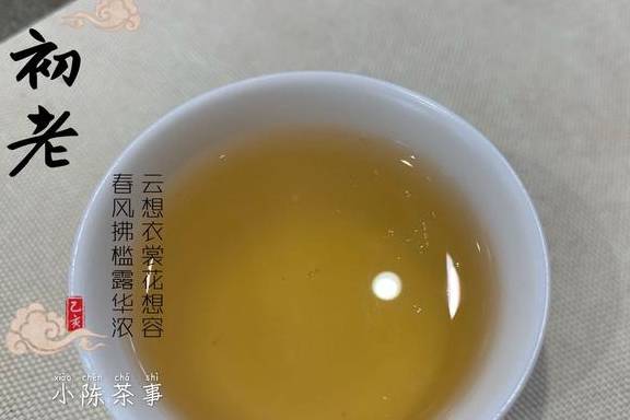 为什么脚闻着有酸味 ab1e8555a3e042fbb7fb562bd4aba41a.jpeg